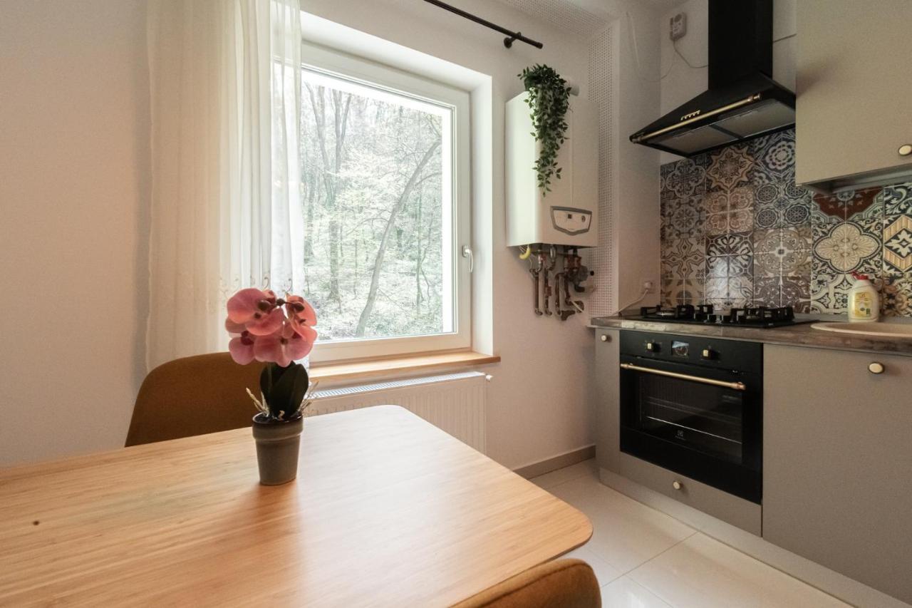Nature Apartment - Minutes Away From The Old Town And Afi Mall บราชอฟ ภายนอก รูปภาพ